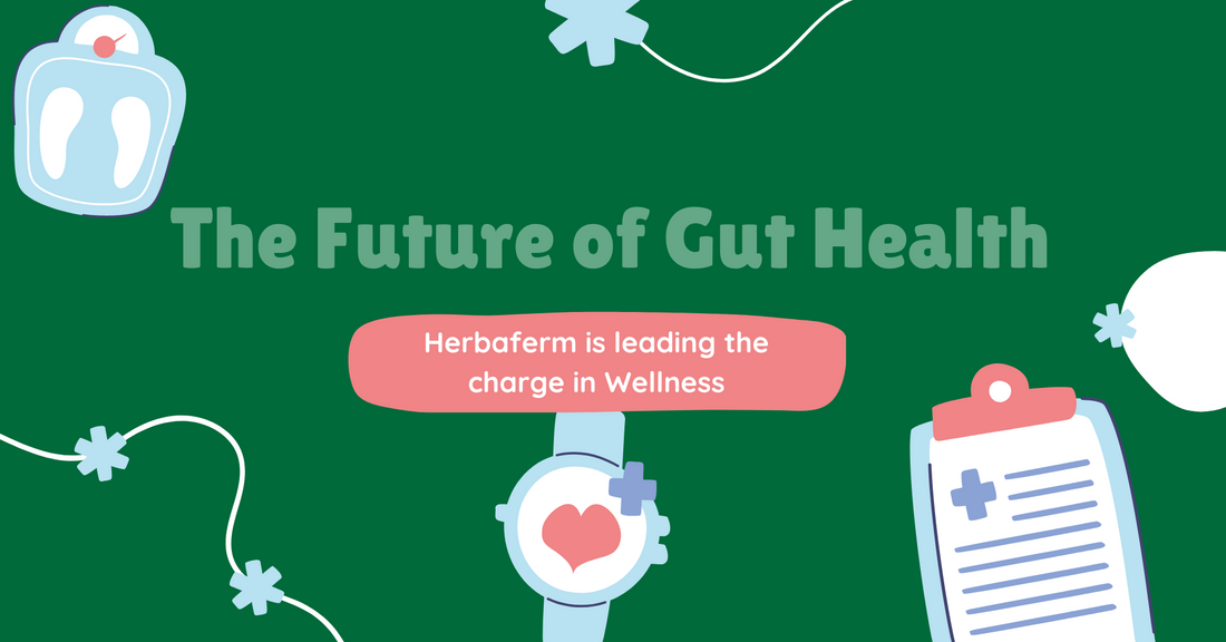 The Future of Gut Health: How Herbaferm is Leading the Charge in Wellness